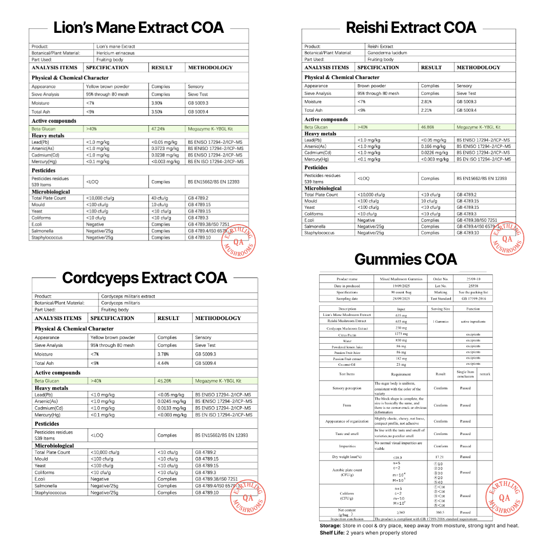 Focus & Flow: Mushroom Gummies